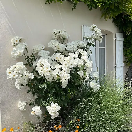 Bed & Breakfast La Glycine